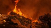 Los Angeles wildfire survivors describe 'hellscape' they left behind