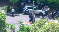 Man 'armed with piece of wood' shot, Tasered during backyard altercation with police