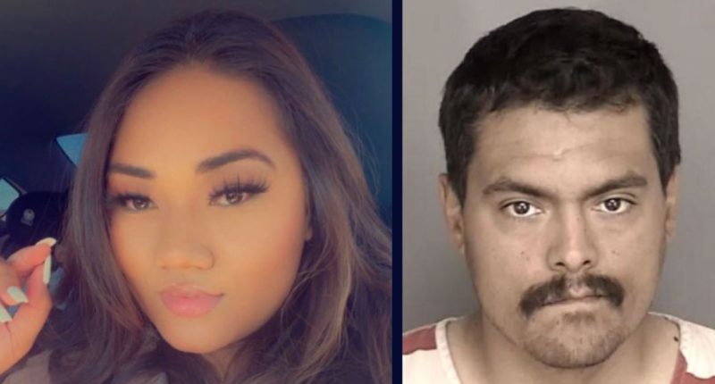 Man admits to stabbing his girlfriend in front of their kids