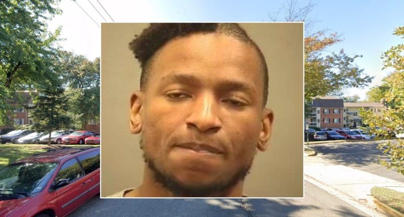 Man killed roommate, kept journal fantasizing about murder