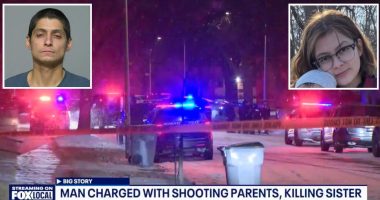 Man killed sister, shot parents for bullying him: Police