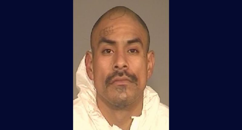 Man sentenced for mistaken identity murder of football fan