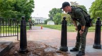 Man who rammed gate near White House in attempt to overthrow government sentenced to 8 years
