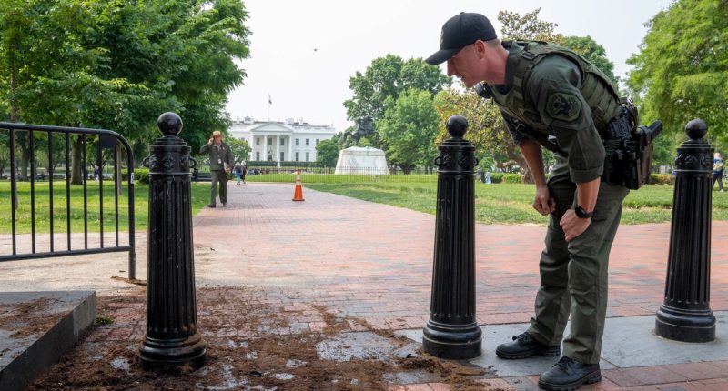 Man who rammed gate near White House in attempt to overthrow government sentenced to 8 years