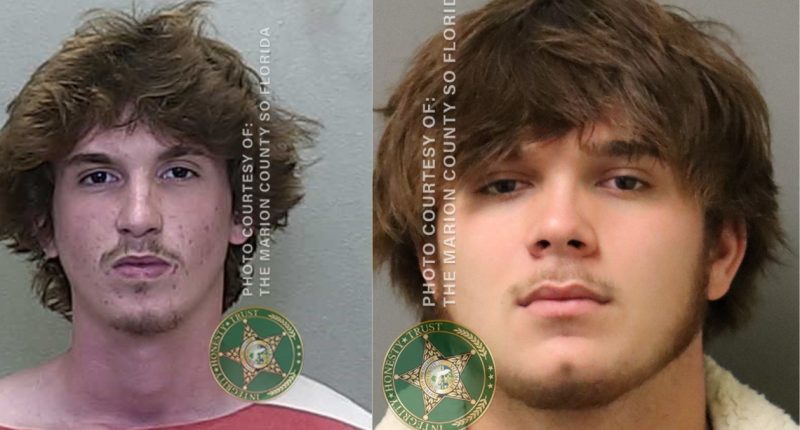 Marion County teenagers accused of raping juvenile victim, police say