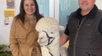 Jacqui Lambie poses with Robert Fletcher and Hephner the alpaca
