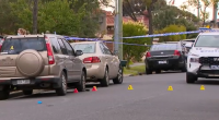 Police are investigating whether a man's fatal shooting in Melbourne's north overnight had links to organised crime. ﻿