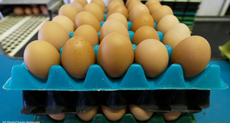 Michigan's cage-free egg law takes effect