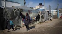 Middle East latest: Ceasefire between Israel and Hamas will go into effect at 0630 GMT on Sunday