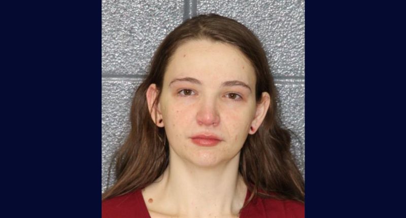 Mom doesn't feed daughter, 4, solid foods for 6 months: Cops