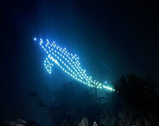 NYE drone show canceled on Folly Beach after drones fall from sky; at least 1 injured