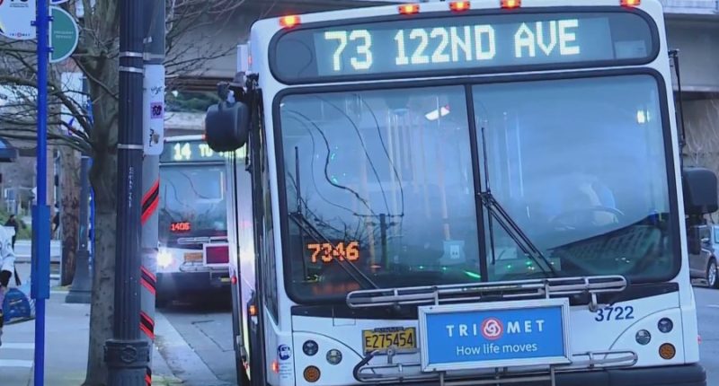 New Oregon law cracks down on public drug use on buses and trains