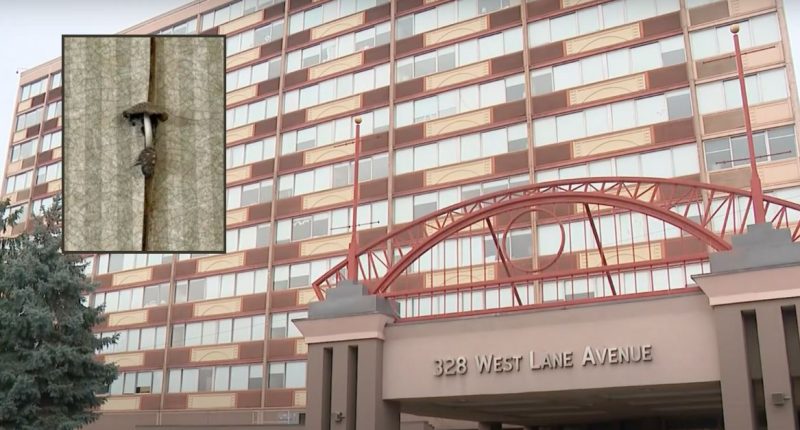 Ohio State University sued over mold in freshman dorms