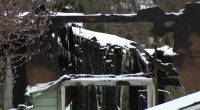 Ohio school bus driver rescues family's pets from burning home