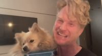 Palisades man finds his dog five days after home burned down