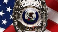 Pana Police Department's calls for service decrease in 2024