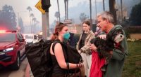 Photos: Los Angeles wildfire engulfs Pacific Palisades