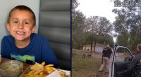 Pit bulls maul 8-year-old boy to death in Florida, cops say