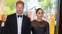 Prince Harry, Meghan Markle ‘Frustrated’ After Failed Netflix Projects