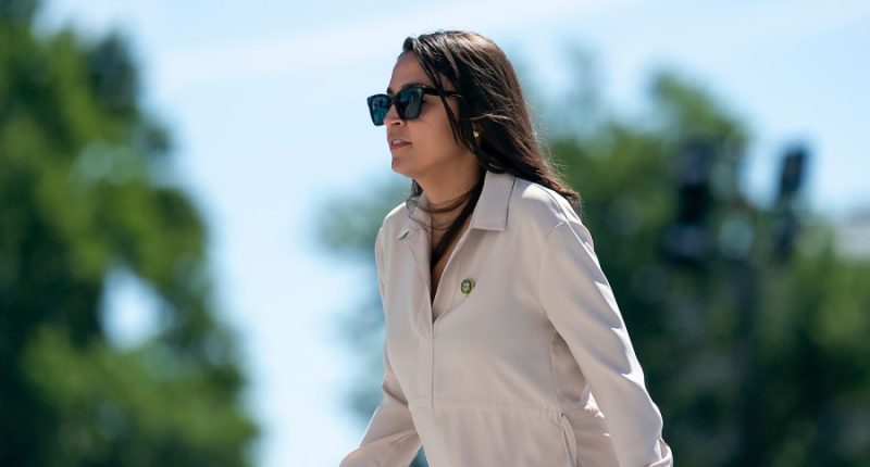 Progressives face an existential crisis under Trump