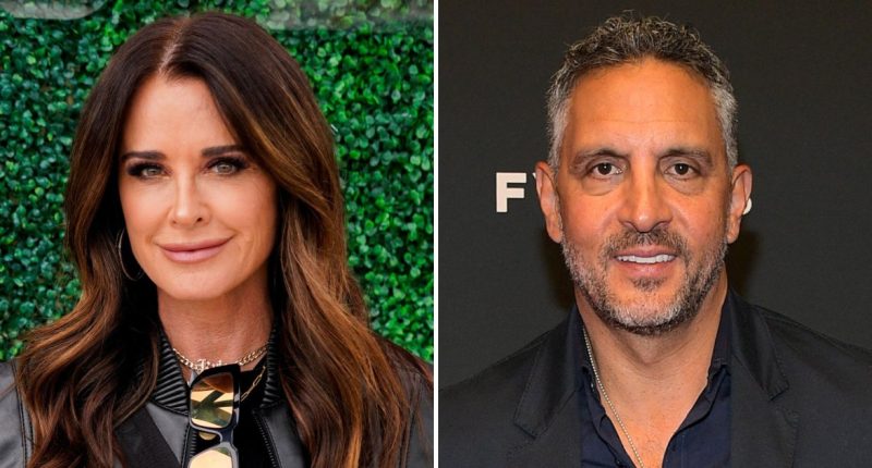 RHOBH’s Kyle Richards’ Ex Mauricio Suffers Small Setback in Court