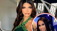 RHONJ's Teresa Giudice Says She Tried to Fix Things With Rachel