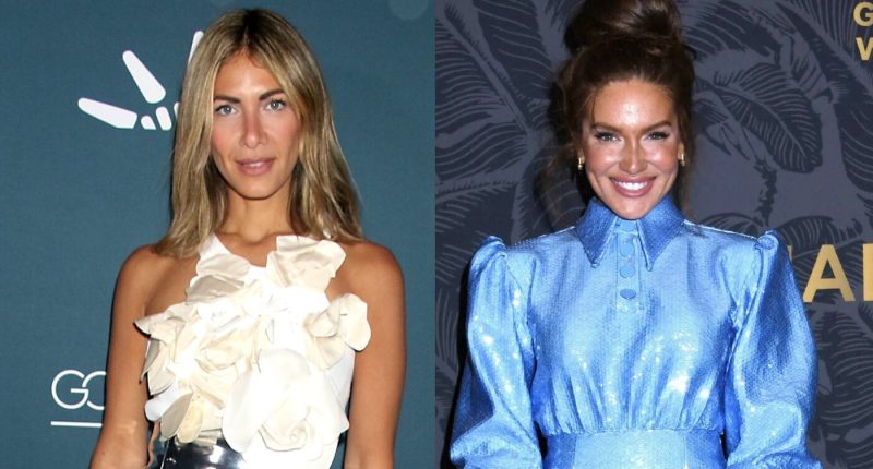 RHONY Star Erin Lichy Slams Brynn Whitfield Over New Interview