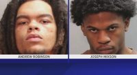 Report: Teen accused in murder of two 16-year-olds used stolen vehicle