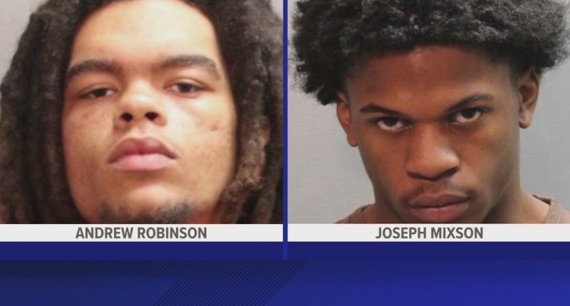 Report: Teen accused in murder of two 16-year-olds used stolen vehicle