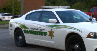 SCSO: Man killed after attempted burglary in Bluff City