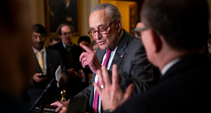Schumer calls on Trump to declassify government files on UFOs