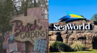 SeaWorld Orlando, Busch Gardens Tampa Bay offering free admission to preschoolers in 2025