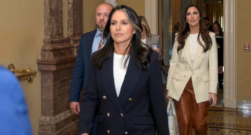 Senate panel sets hearing on Tulsi Gabbard nomination