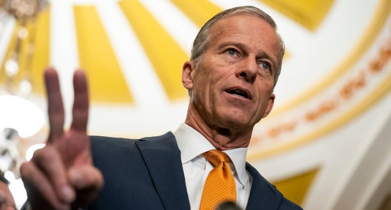 Senate passes Laken Riley Act in first move after Trump inauguration