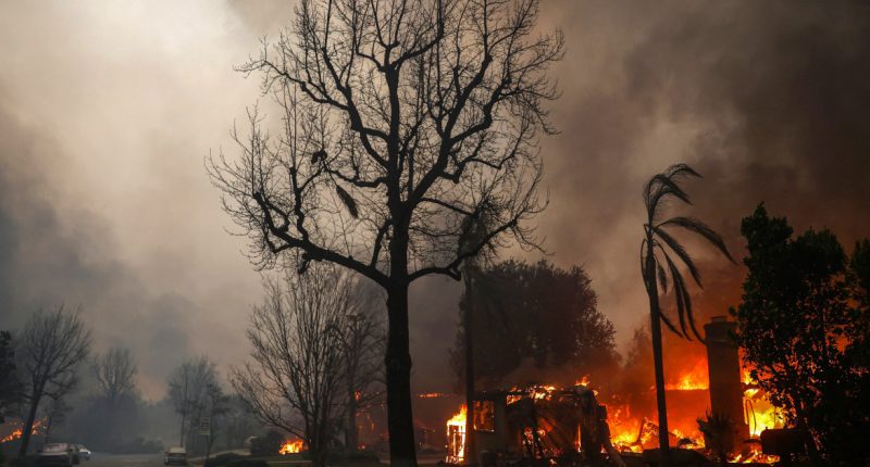 Shares of California utility Edison International drop more than 10% as wildfires rage