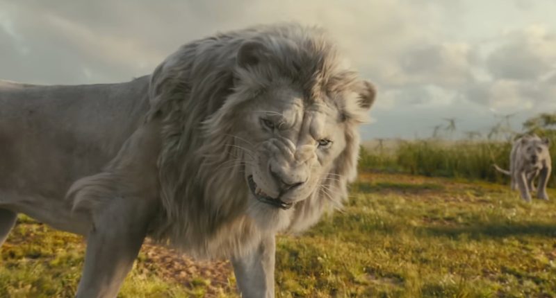 Small Details You Missed In Mufasa: The Lion King