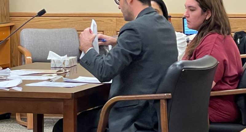 Smothering was cause of death for 2 children allegedly killed by mother, investigator says