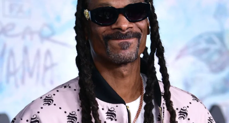 Snoop Dogg Only Had 1 No. 1 Song as a Lead Artist