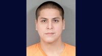 Son allegedly kills father after argument about 'accident'