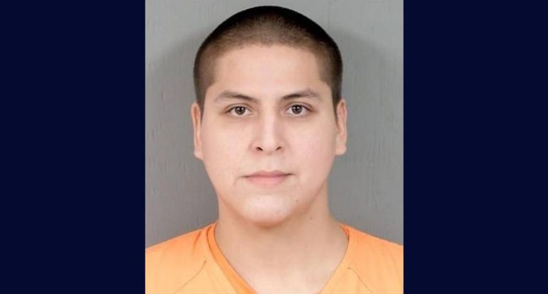 Son allegedly kills father after argument about 'accident'