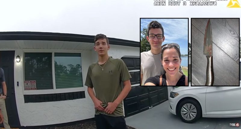 Son says he told mom 'I'm not a murderer' before slaying