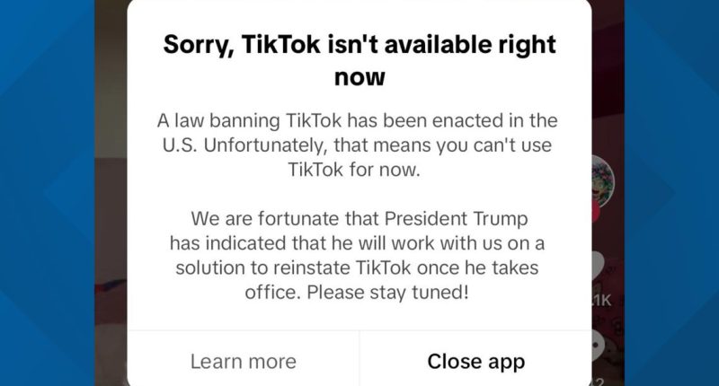 'Sorry, TikTok isn't available right now' | Is the social media app banned?