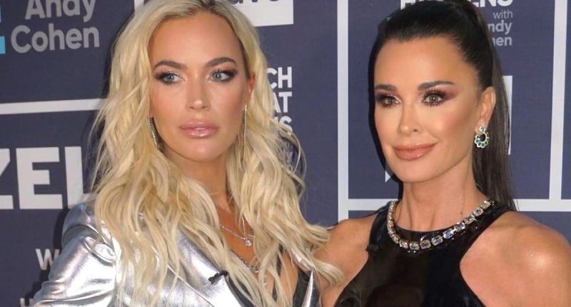 Source Gives Insight Into Kyle Richards' Living Situation With Teddi