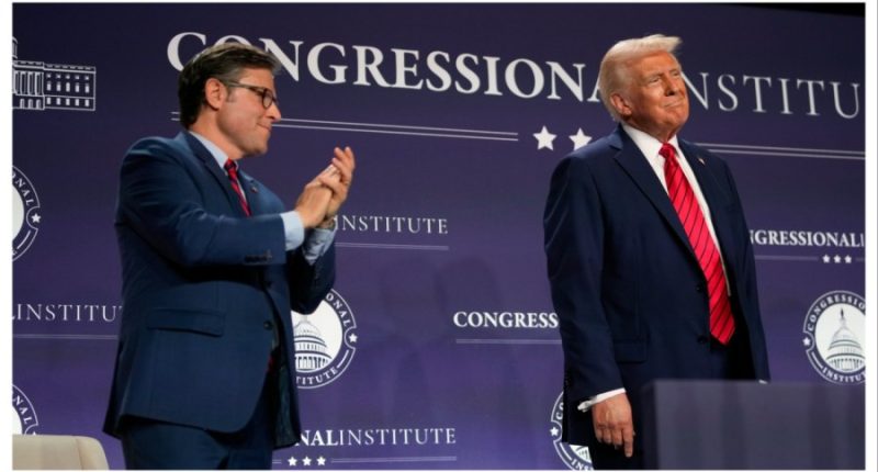 Speaker Johnson brushes aside economic concerns associated with ICE raids