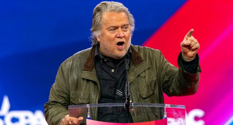 Steve Bannon says he will ‘take down’ the ‘truly evil’ Elon Musk