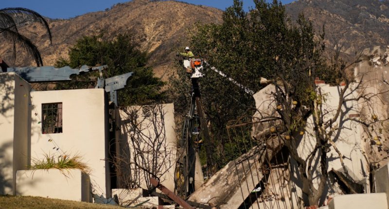 A worker services a utility pole in the aftermath of the Eaton Fire on Monday, Jan. 13, 2025, in Altadena, Calif. (AP Photo/Carolyn Kaster)