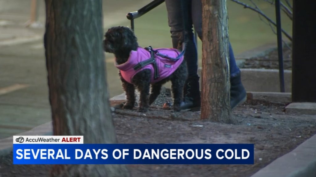 Sunday Chicago area weather forecast includes an AccuWeather Alert for dangerous cold temperatures Monday, Tuesday, Wednesday