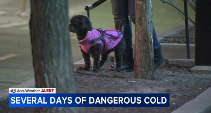 Sunday Chicago area weather forecast includes an AccuWeather Alert for dangerous cold temperatures Monday, Tuesday, Wednesday
