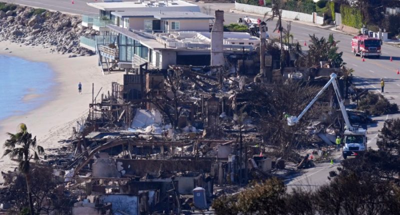Suspected looter dressed as fireman detained in Los Angeles