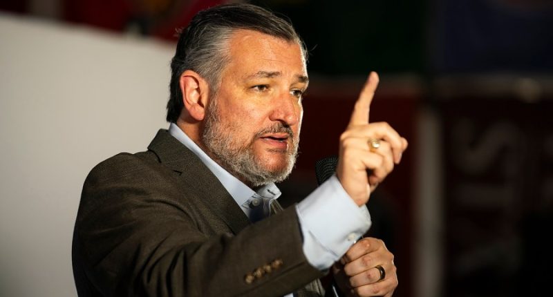 Ted Cruz: 'This is a different Donald Trump that is being sworn in than in 2017'